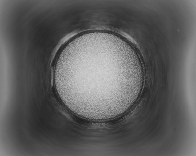 X0000086311223200704201956