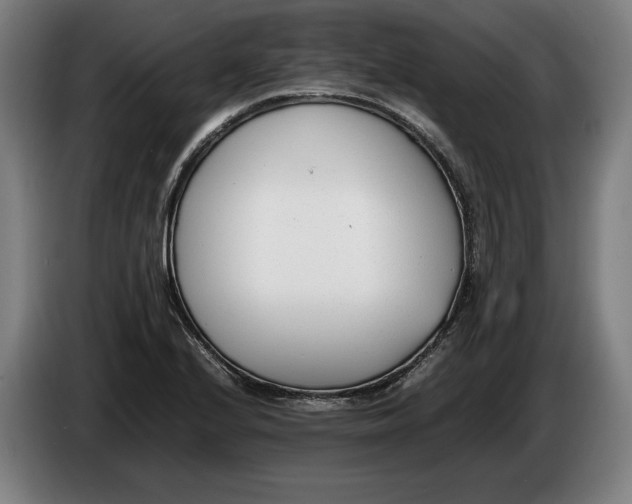 X0000086311224200704201956