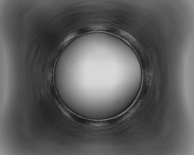 X0000086311225200704201956