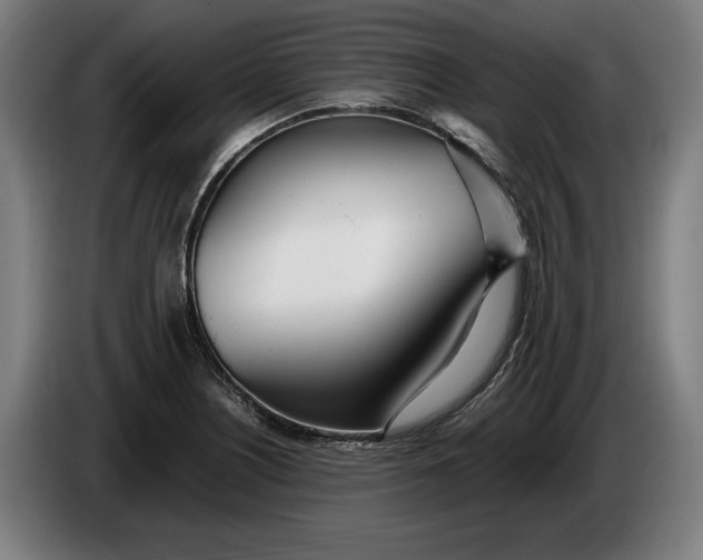 X0000086311226200704201956