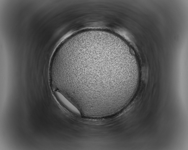 X0000086311229200704201956