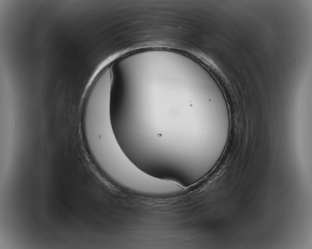 X0000086311230200704201956