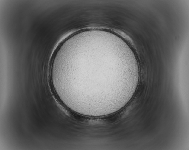 X0000086311231200704201956