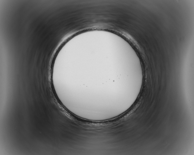 X0000086311232200704201956