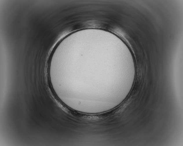 X0000086311235200704201956
