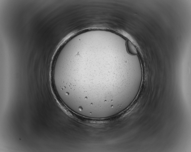 X0000086311237200704201956