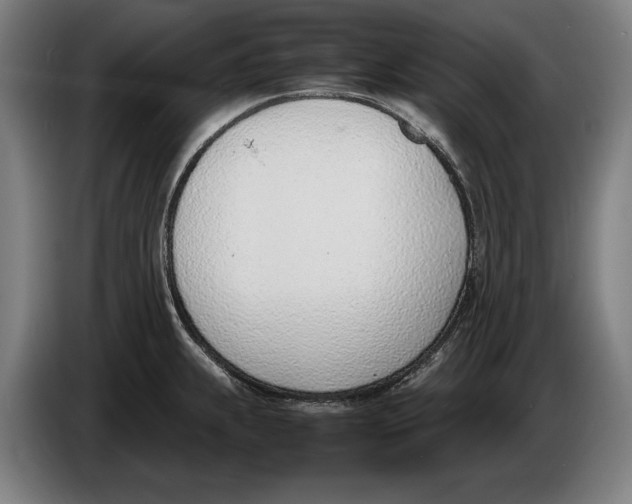 X0000086311239200704201956