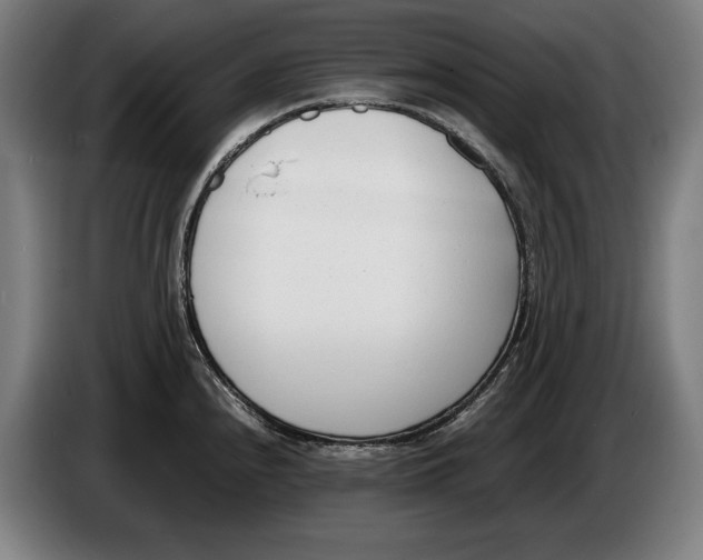 X0000086311240200704201956