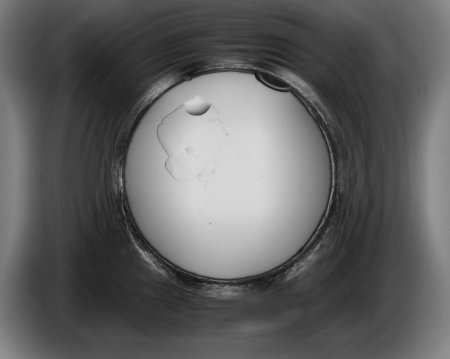 X0000086311241200704201956