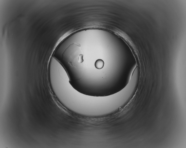 X0000086311242200704201956