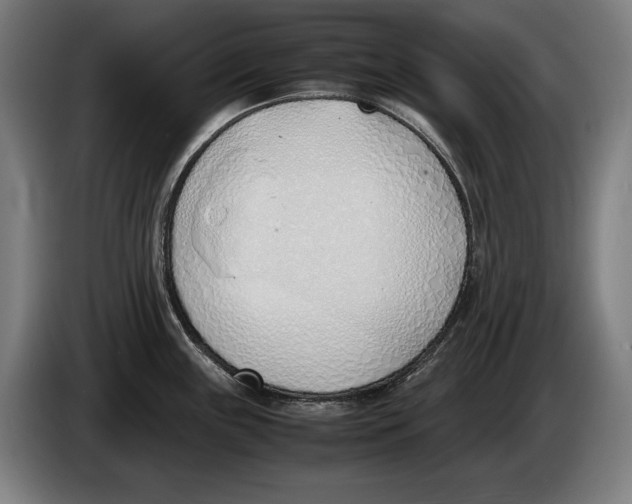 X0000086311243200704201956