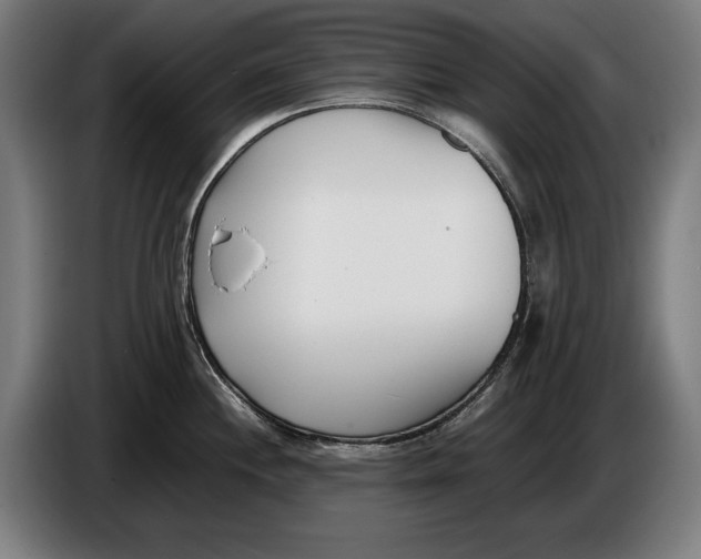 X0000086311244200704201956