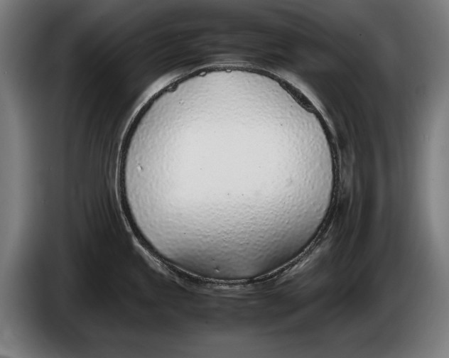 X0000086311245200704201956