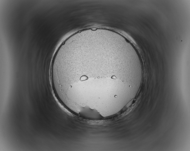 X0000086311247200704201956