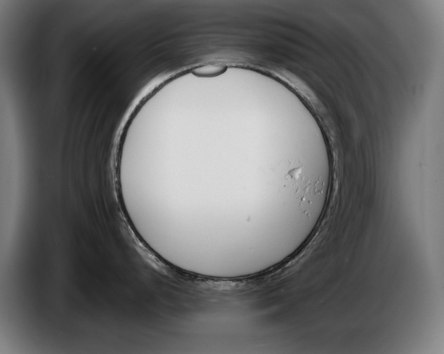 X0000086311248200704201956