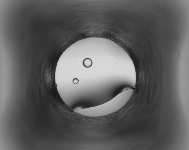 X0000086311250200704201955