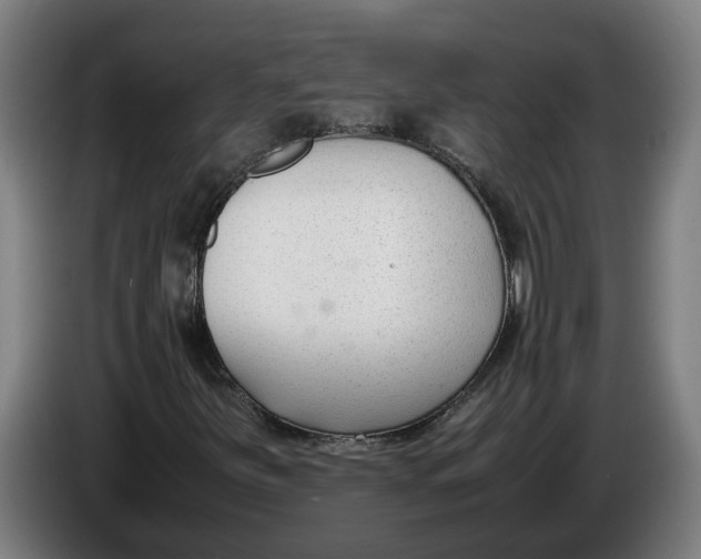 X0000086311251200704201955