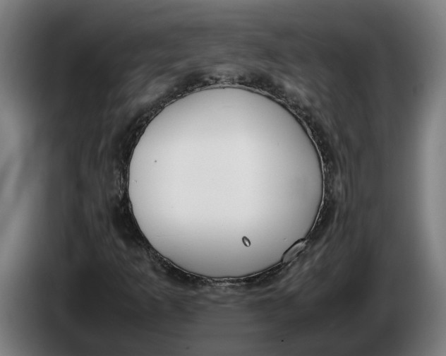 X0000086311253200704201955