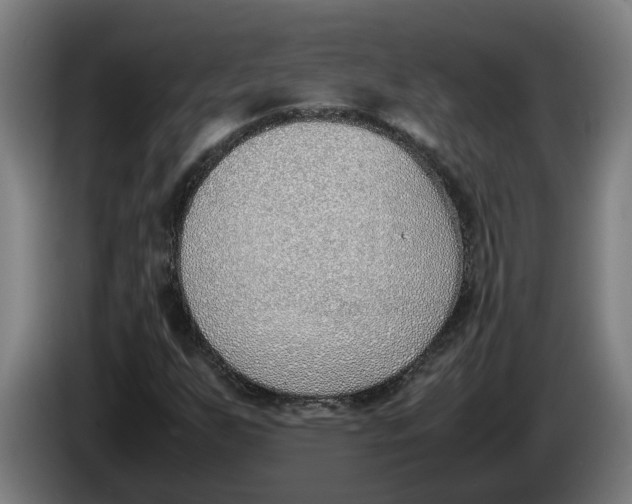 X0000086311255200704201955