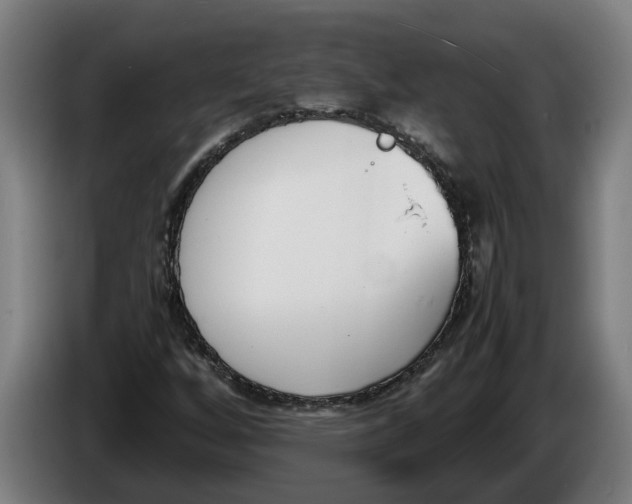 X0000086311256200704201955