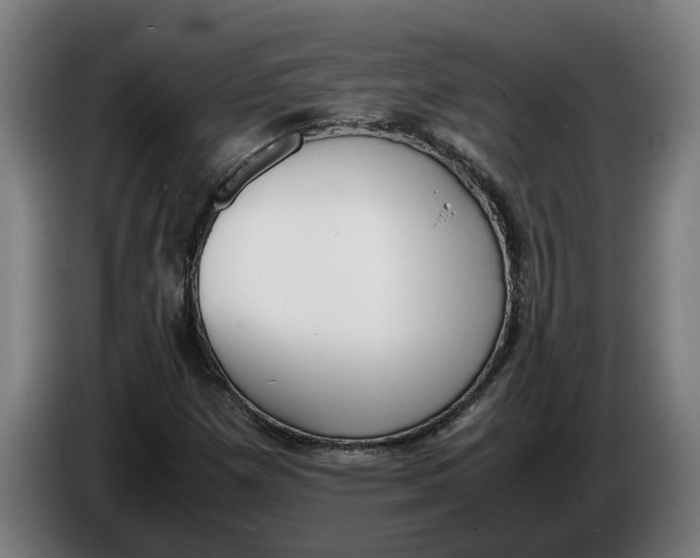 X0000086311257200704201955