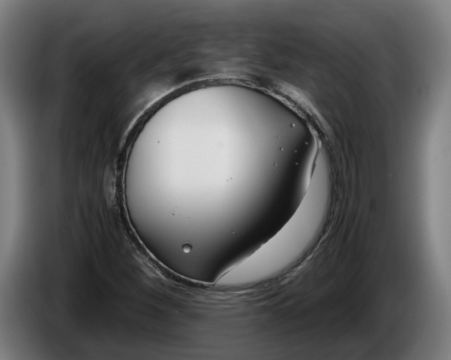 X0000086311260200704201955