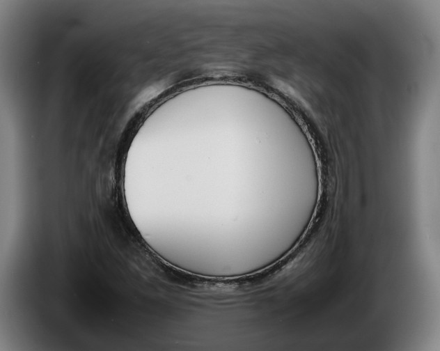 X0000086311261200704201955