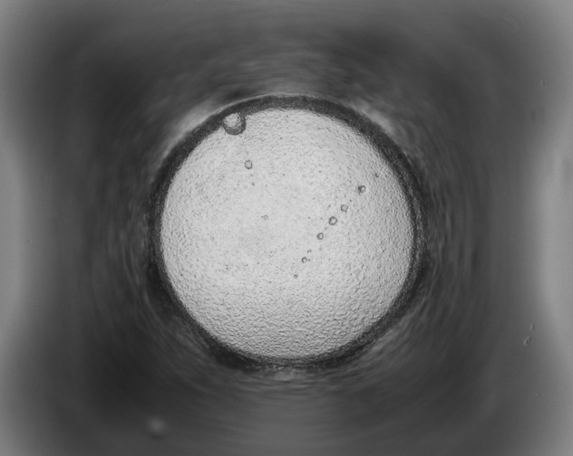 X0000086311263200704201955