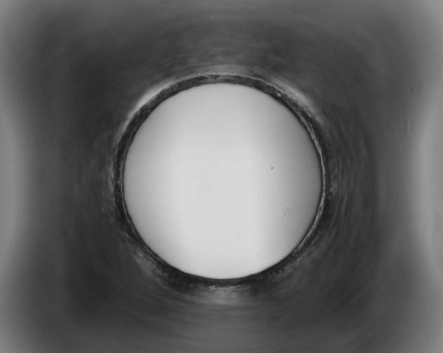 X0000086311264200704201955