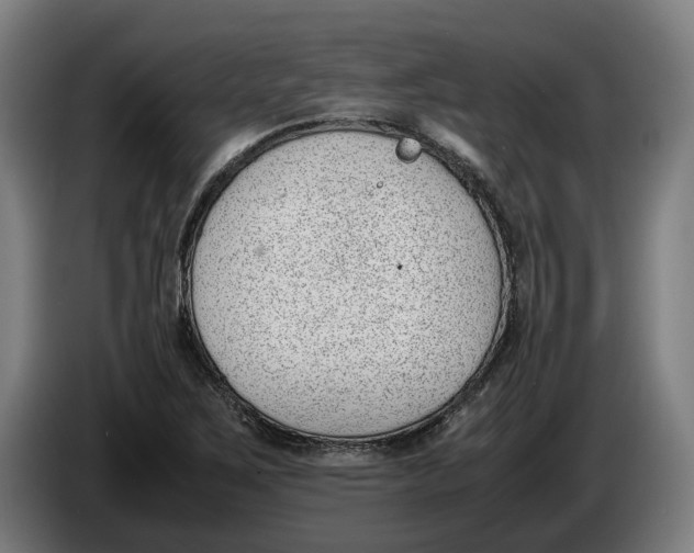 X0000086311267200704201955