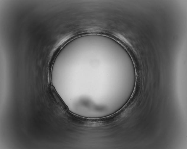 X0000086311269200704201955