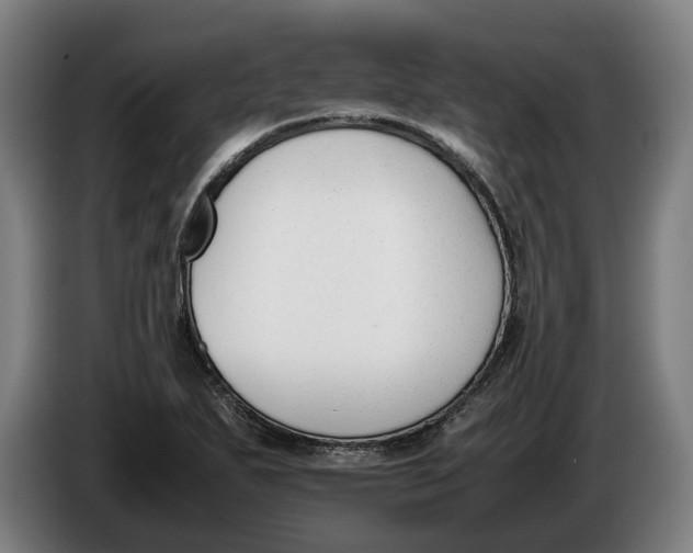 X0000086311271200704201955