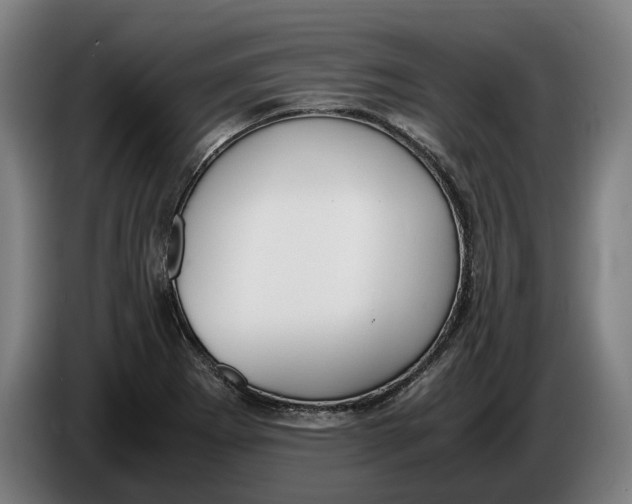 X0000086311273200704201955
