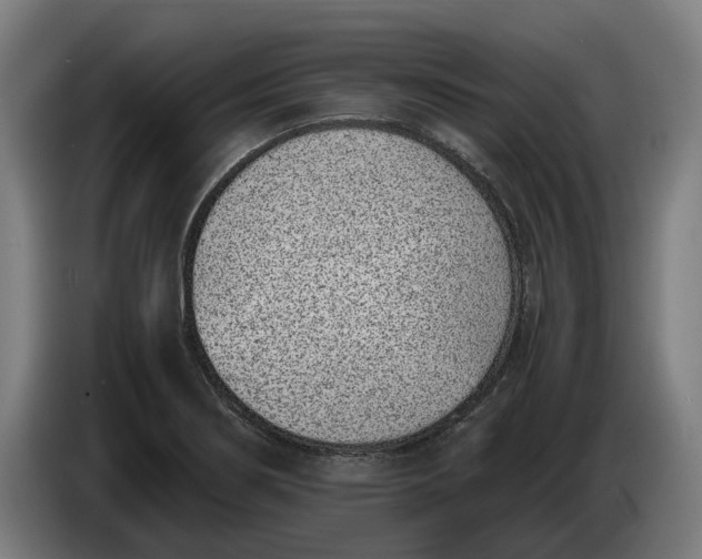 X0000086311274200704201955