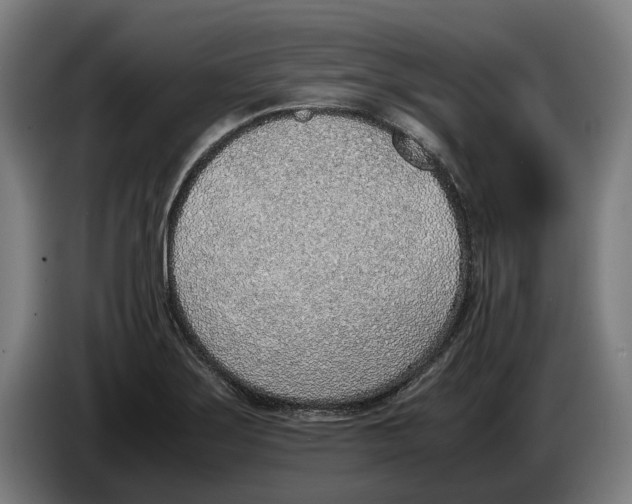 X0000086311275200704201955