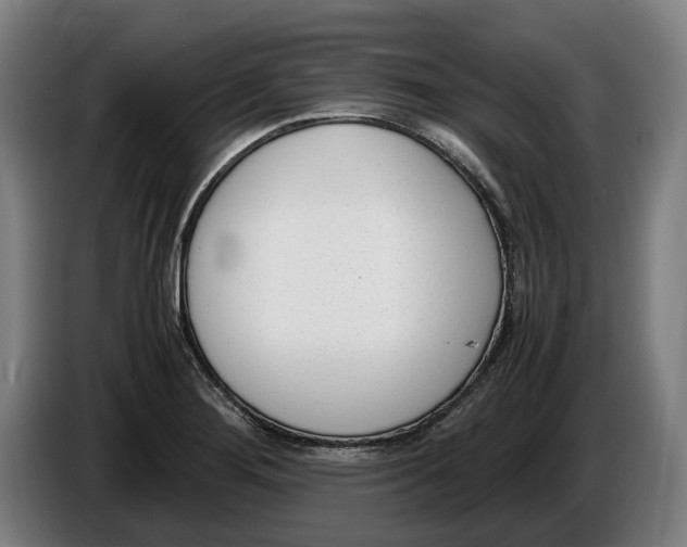 X0000086311276200704201955