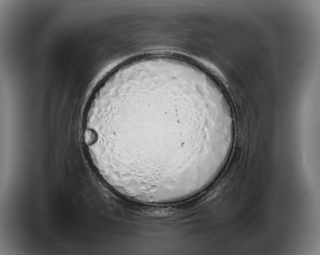 X0000086311279200704201955