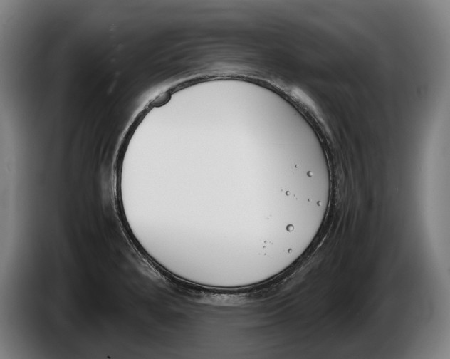 X0000086311280200704201955