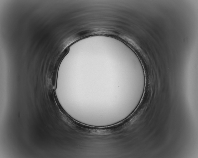 X0000086311281200704201955