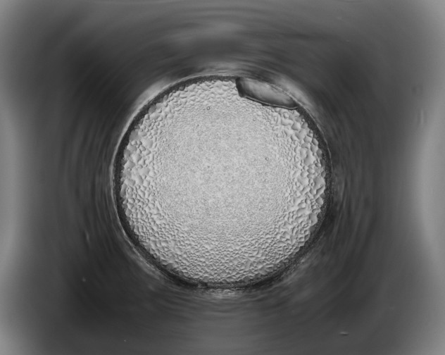 X0000086311283200704201955