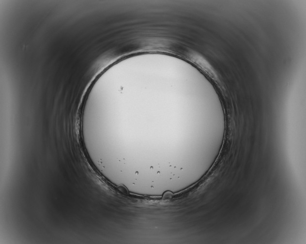 X0000086311284200704201955