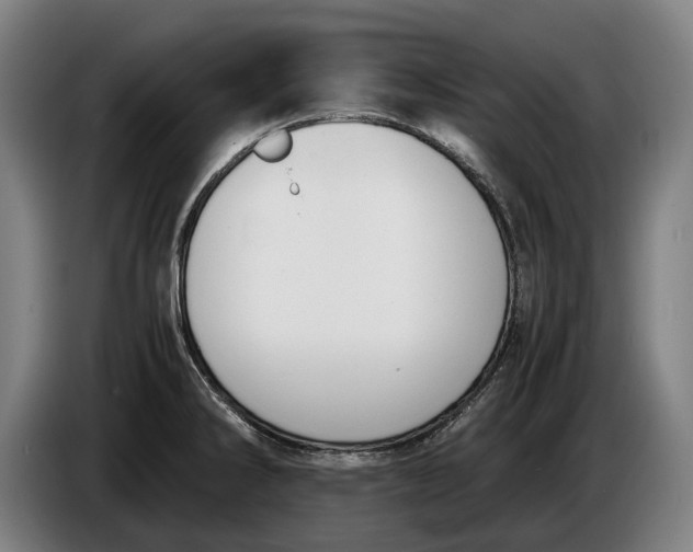 X0000086311286200704201955