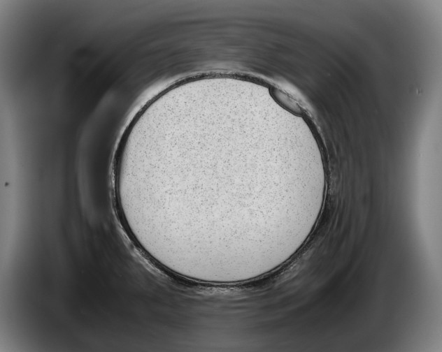 X0000086311287200704201955