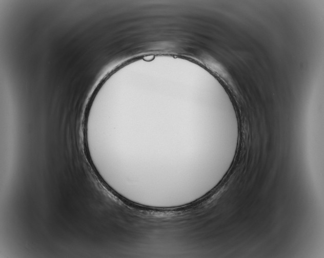 X0000086311288200704201955