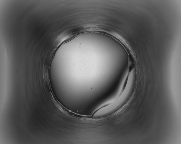 X0000086311289200704201955