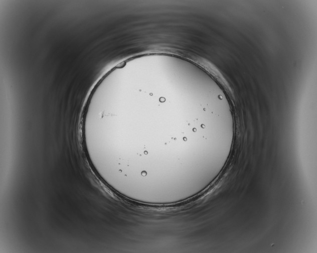 X0000086311292200704201955