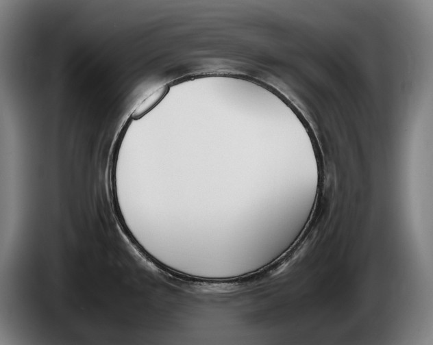 X0000086311293200704201955
