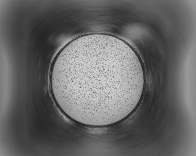 X0000086311294200704201955