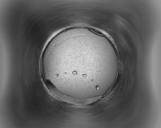 X0000086311295200704201955