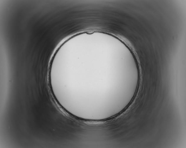X0000086311296200704201955